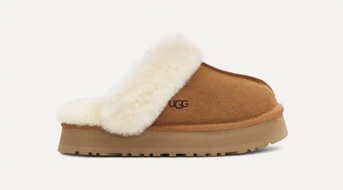 Disquette Slipper